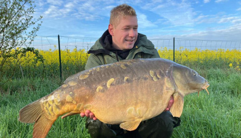 A carp from Fullys Lake, May 2023