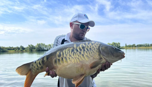 A carp from Fullys Lake, Jul 2023