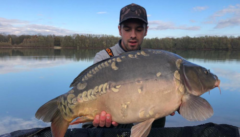 A carp from Fullys Lake, Feb 2022