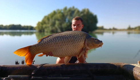 A carp from Fullys Lake, Aug 2022