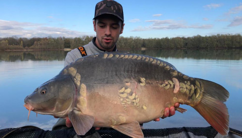 A carp from Fullys Lake, Feb 2022