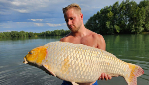 A 29 lb carp from Fullys Lake, Jul 2023