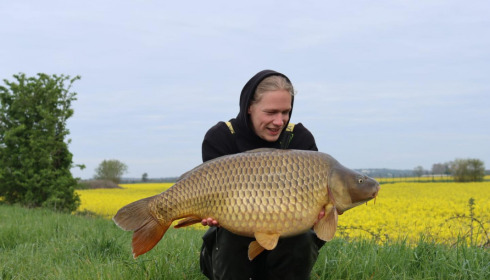 A carp from Fullys Lake, May 2023