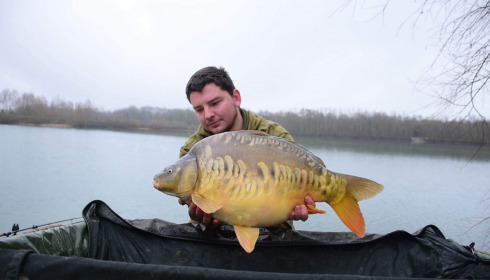 A carp from Fullys Lake, Jan 2023