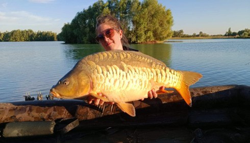 A carp from Fullys Lake, Aug 2022