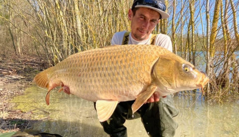 A carp from Fullys Lake, Mar 2022