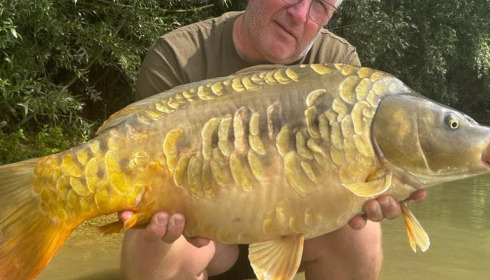 A carp from Fullys Lake, Aug 2023