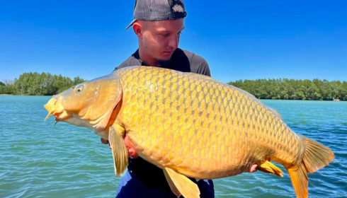 A carp from Fullys Lake, Aug 2022
