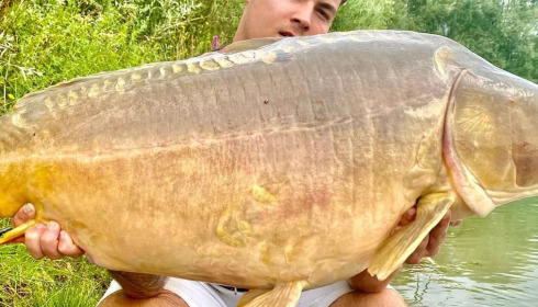 A carp from Fullys Lake, Aug 2023