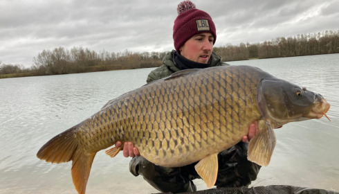 A carp from Fullys Lake, Jan 2022