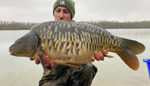 A carp from Fullys Lake, Jan 2022