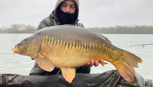 A carp from Fullys Lake, Feb 2022
