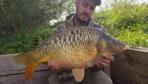 A carp from Fullys Lake, Aug 2023