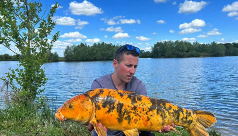 A carp from Fullys Lake, May 2022