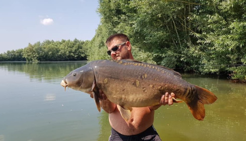 A carp from Fullys Lake, Mar 2022