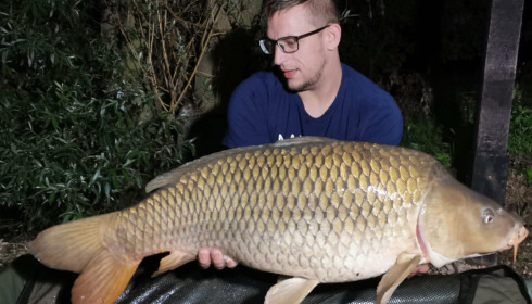 A carp from Fullys Lake, Jun 2023