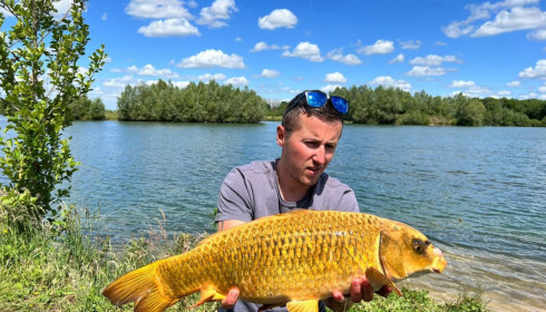 A carp from Fullys Lake, May 2022