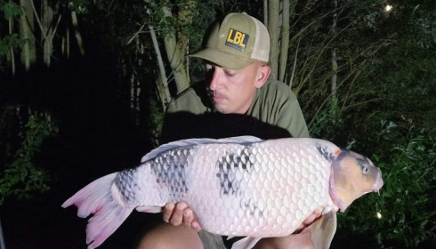 A carp from Fullys Lake, Aug 2022