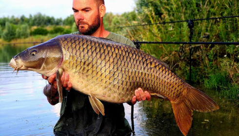 A carp from Fullys Lake, Jun 2023