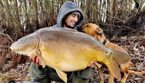 A carp from Fullys Lake, Mar 2022
