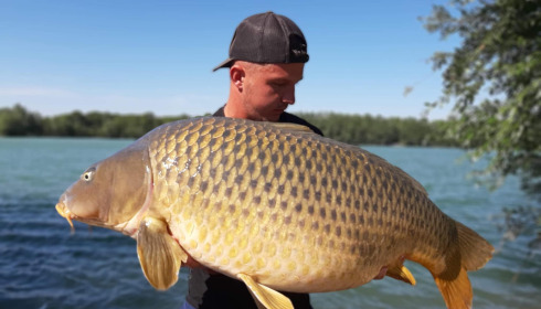 A carp from Fullys Lake, Aug 2022