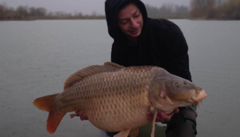 A carp from Fullys Lake, Mar 2023
