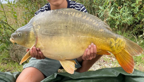A carp from Fullys Lake, Aug 2022
