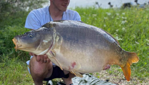 A carp from Fullys Lake, Mar 2022