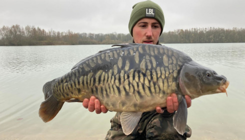 A carp from Fullys Lake, Jan 2022