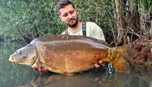 A carp from Fullys Lake, Jul 2022