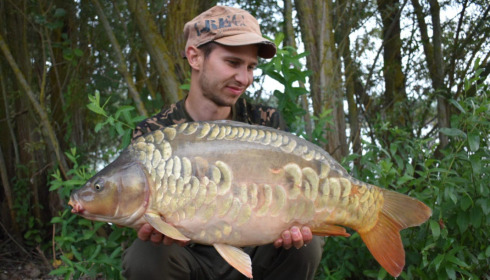 A carp from Fullys Lake, Aug 2022