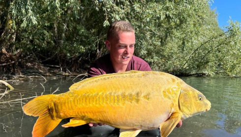 A carp from Fullys Lake, Sep 2022