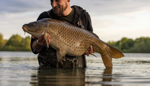 A carp from Fullys Lake, May 2022