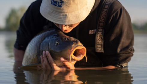 A carp from Fullys Lake, May 2022