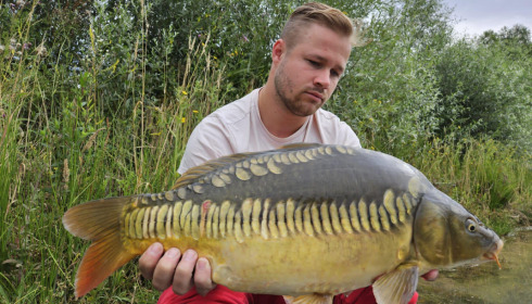 A carp from Fullys Lake, Jul 2023