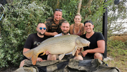 A carp from Fullys Lake, Aug 2022