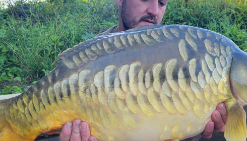 A carp from Fullys Lake, Aug 2023