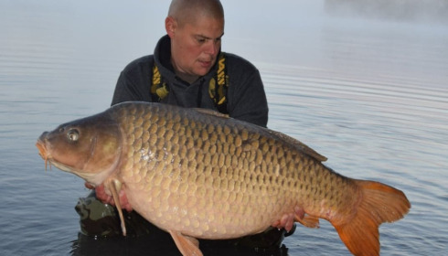 A 53 lb carp from Fullys Lake, Oct 2022