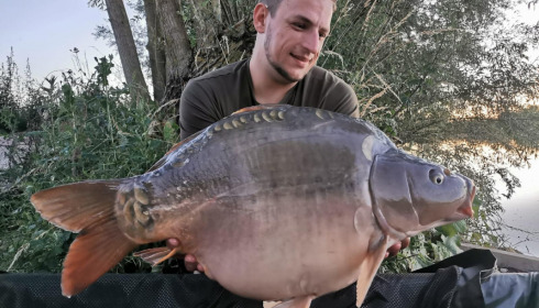 A carp from Fullys Lake, Jul 2022