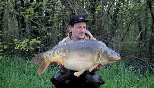 A carp from Fullys Lake, May 2023