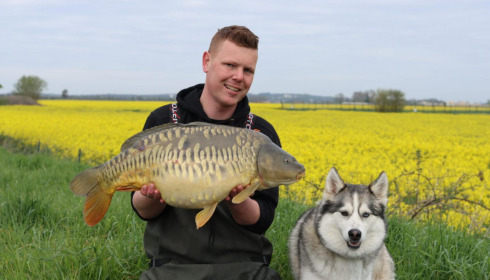 A carp from Fullys Lake, May 2023