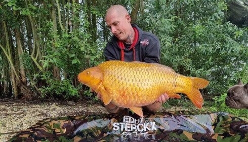 A carp from Fullys Lake, Mar 2022