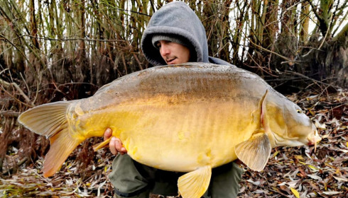 A carp from Fullys Lake, Feb 2022