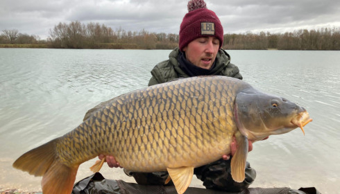 A carp from Fullys Lake, Jan 2022