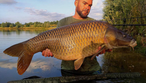 A carp from Fullys Lake, Jun 2023
