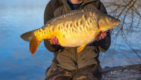 A carp from Fullys Lake, Mar 2023