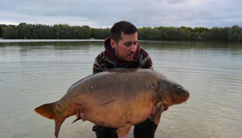 A carp from Fullys Lake, Feb 2022