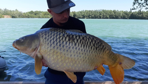A carp from Fullys Lake, Aug 2022