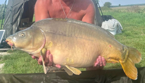 A 40 lb carp from Fullys Lake, Terence Holland, Aug 2023
