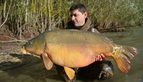 A carp from Fullys Lake, Feb 2022